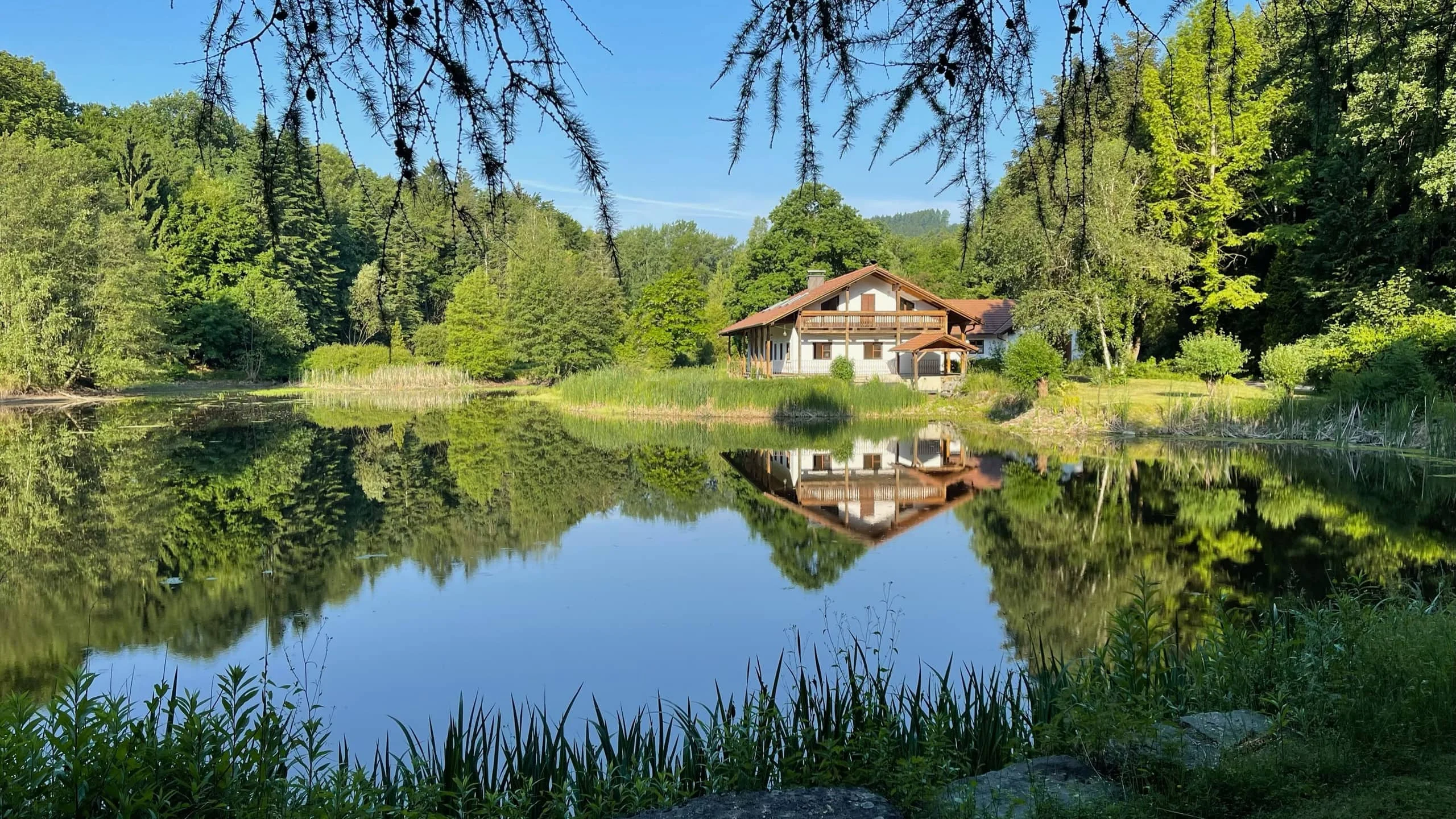Der Teichhof und der Wald spiegeln sich im privaten Teich