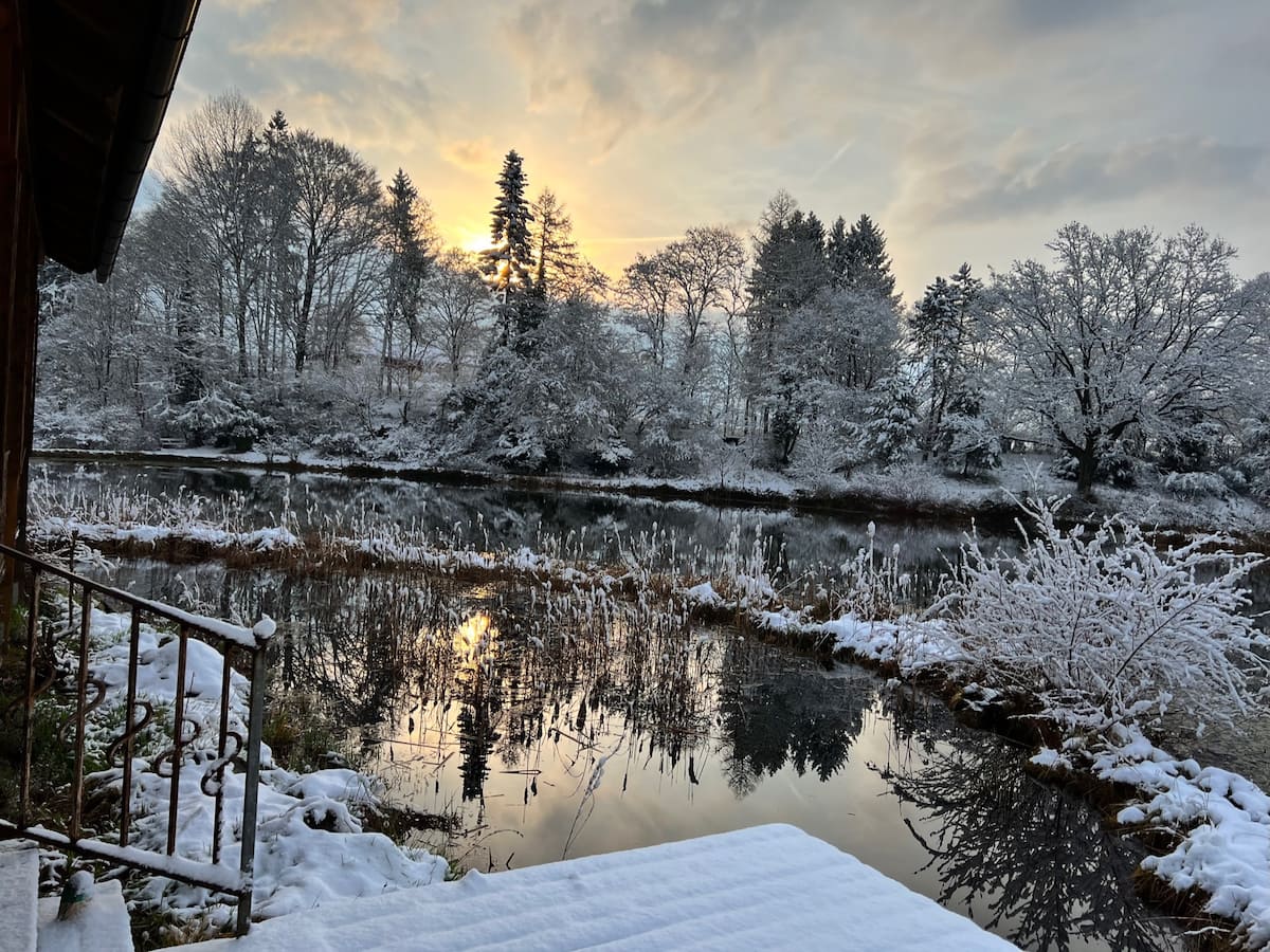 Wintermorgen am Teich mit verschneiten Bäumen